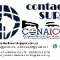 Contacto Sur - FM 103.3